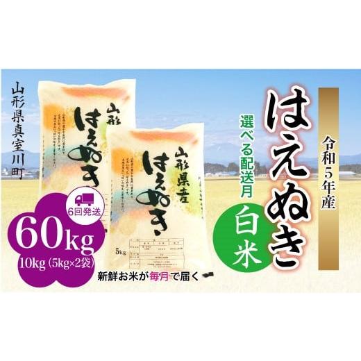 ＜配送時期が選べて便利な定期便＞ 令和5年産 真室川町厳選 はえぬき ＜白米＞ 60? 定期便（10kg×1カ月ごと6回お届け）