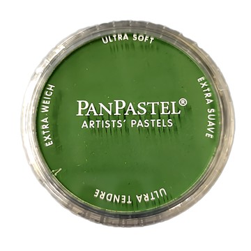 美國PANPASTEL 粉彩餅  1色  1個