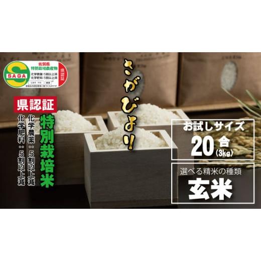 ふるさと納税 佐賀県 小城市 味試し！さがびより20合（３ｋｇ）田中農場 特別栽培米（玄米） 令和5年度産