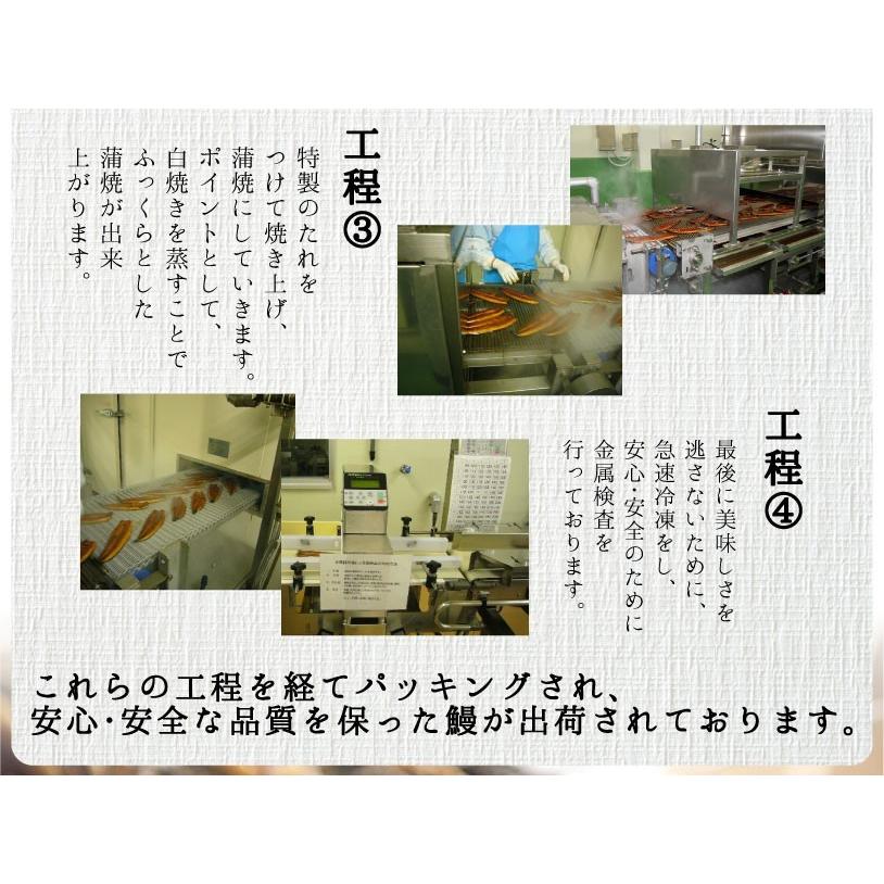 うなぎギフト7 うなぎ 国産 大サイズ国産うなぎ蒲焼1本＆カット済鰻2枚入りセット　熨斗対応可におすすめです！