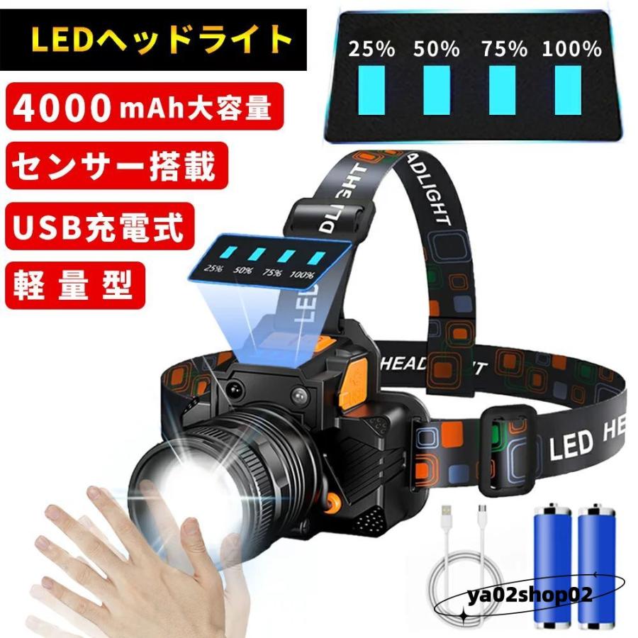 出群 LEDヘッドライト USB充電式 91°回転 キャンプ 夜釣り 登山