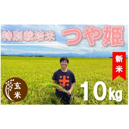 ふるさと納税 山形県 三川町 ecofarmすがわらの特別栽培米つや姫10kg