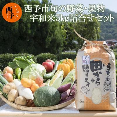 ふるさと納税 西予市 せいよ旬の野菜・果物・宇和米5kg詰合せセット