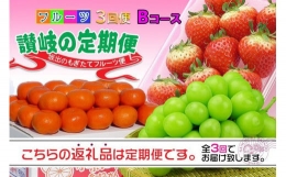  フルーツ セット 定期便 いちご 約250g × 4パック  シャインマスカット 1房 約600g以上  みかん 約5kg × 3ヶ月 ｜産直あきんど 坂出産 創業100年