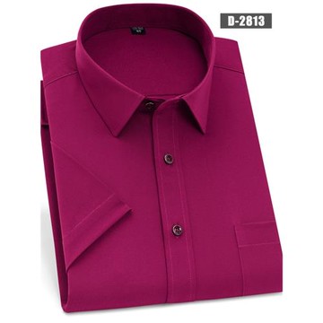 2025夏季薄款短袖襯衫男商務休閑職業裝純色半袖襯衣修身免燙男裝