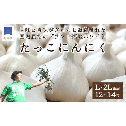 ふるさと納税 青森県 田子町 日本一たっこにんにく・12〜14玉（青森県田子町産にんにくL〜2L）