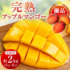 ＜優品＞完熟アップルマンゴー約2kg(化粧箱)3玉～6玉