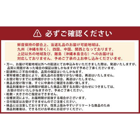 ふるさと納税 熊本県産 金色羅皇 高級 西瓜 約5kg 1玉 スイカ すいか 熊本県