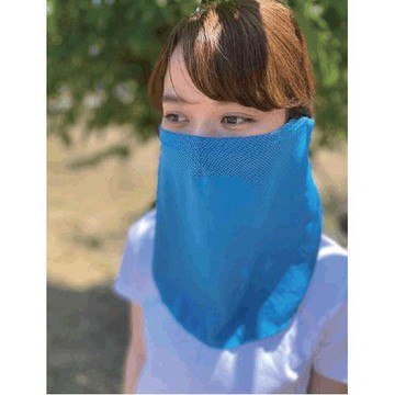 日本進口~涼感 防紫外線 耳掛式 面罩（ 附瓶子)(下單前請先詢問出貨天數)