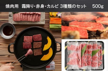 3回定期便／A5等級 神戸牛 すき焼き・焼肉 3カ月連続お届けコース［神戸牛専門店 神戸ぐりる工房］