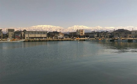 伝承の紅鮭10切 富山 魚津 ハマオカ海の幸