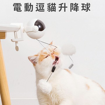 電動逗貓升降球/貓玩具