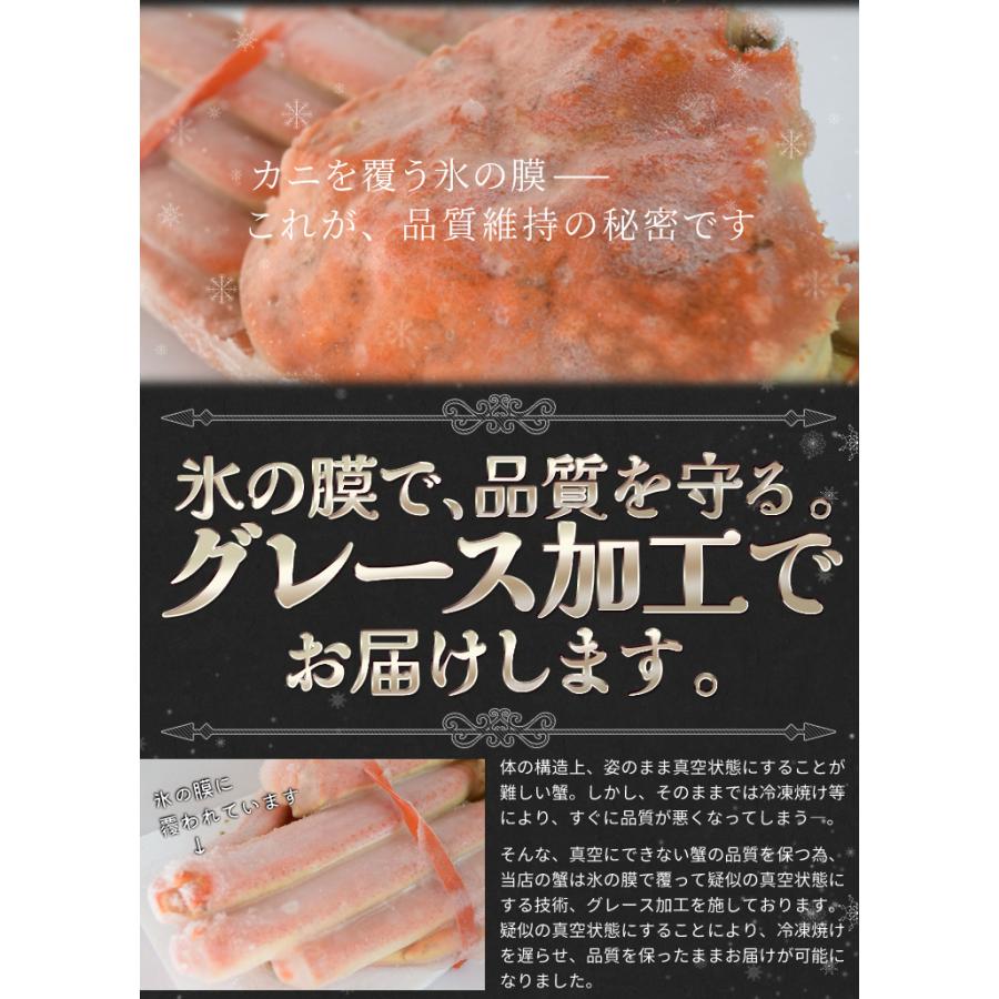 かに ずわいがに ボイル 姿 ５尾で３ｋｇ前後（６００ｇ前後×５ハイ） かにみそ 年末年始 送料無料 本ズワイガニ 蟹