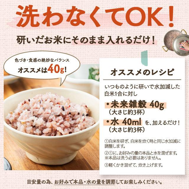 国産品 雑穀米 雑穀 国産 未来雑穀21 マンナン 800g 400g×2 訳あり ポイント消化