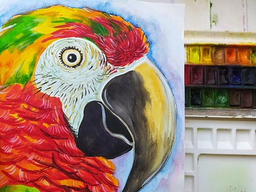 紅鸚鵡水彩藝術繪畫動物鳥原創藝術藝術品