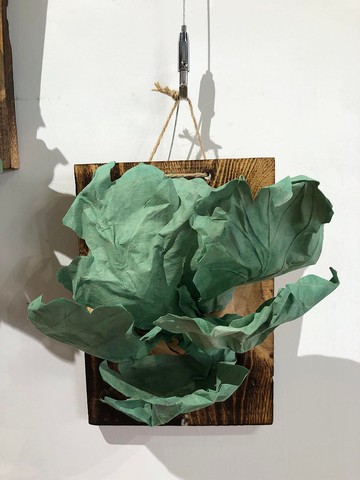 叛徒鹿角蕨 03號 濾紙手折花 植物上板 情人節禮物 生日禮物