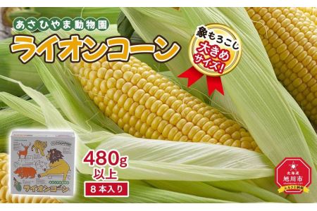 象もろこし（ライオンコーン）　大きいサイズのトウモロコシ　480ｇ以上8本入り(2024年8月下旬～発送開始予定)