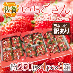 佐賀 ”いちごさん” ちょっと訳あり 約250g×4パック×《3箱》 大きさおまかせ 送料無料