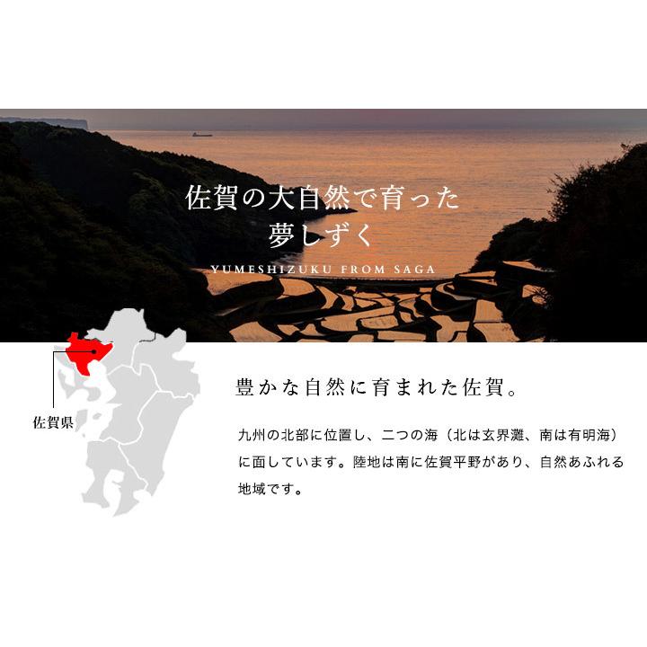 新米　米 お米 5kg 送料無料 若木 夢しずく 佐賀県産 武雄 産地限定米 令和5年度 5kg