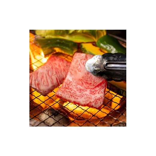 ふるさと納税 宮崎県 五ヶ瀬町 宮崎牛肩ロース焼肉 300g ＆ 黒毛和牛小間切れ 100g