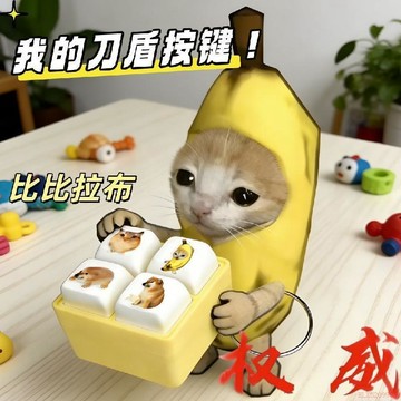 桃園出貨✨同款我的刀盾發聲按鍵玩具新款四宮格搞笑整蠱鑰匙扣發光玩具