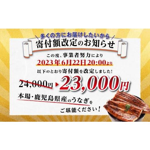 ふるさと納税 鹿児島県 大崎町 鹿児島県産長蒲焼特大3尾（200g以上×3尾）【鰻 国産うなぎ蒲焼き たれ うな重 ひつまぶし ウナギ 蒲焼 特大 人気 おすすめ 鹿…