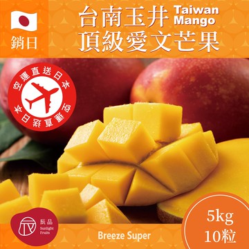 【預購】2026銷日 台南玉井頂級愛文芒果禮盒5kg 10粒