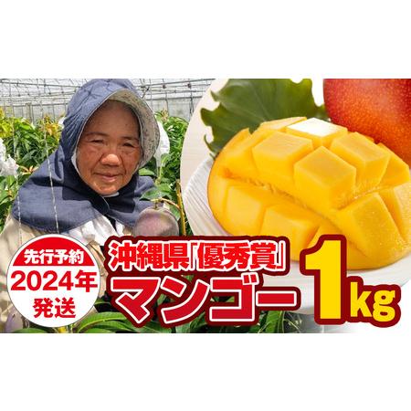 ふるさと納税 芳醇な香り　とろける食感　沖縄県「優秀賞」マンゴー1kg 沖縄県南風原町