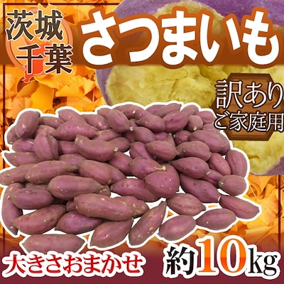 さつまいも 約10kg 千葉 茨城 訳あり 紅あずま 紅こがね 紅まさり 紅はるか 品種おまかせ