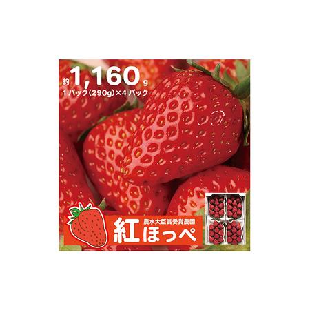 ふるさと納税 農水大臣賞受賞農園からお届け イチゴ・紅ほっぺ 4パック 静岡県袋井市