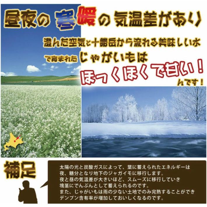 じゃがいも 北海道　インカのめざめ　１０ｋｇ　送料無料