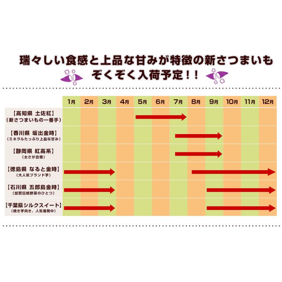 千葉県産 JAかとり シルクスイート Lサイズ2.5キロ 7本前後 送料無料 さつまいも サツマイモ 薩摩芋 新芋 市場発送