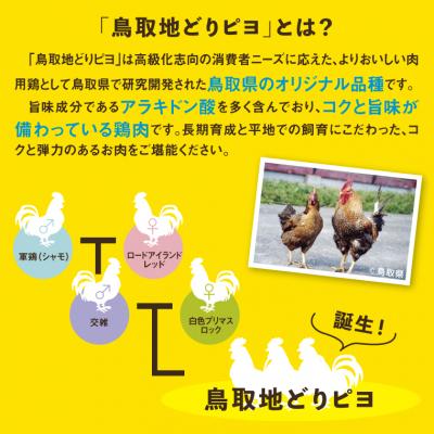 ふるさと納税 鳥取市 鳥取地鶏使用キーマカレー 5個セット