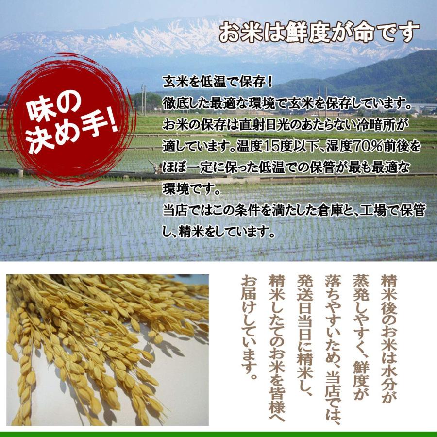 成澤農園 令和5年産 新米 山形県産 特別栽培米 はえぬき 白米 5kg