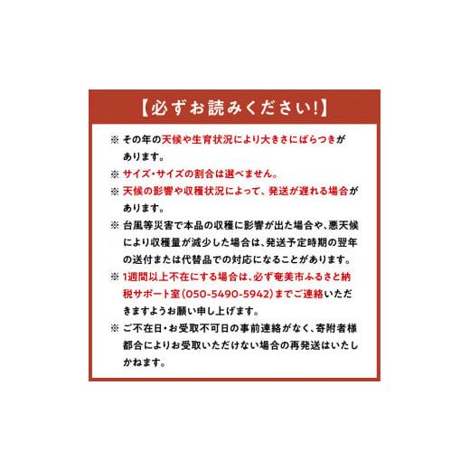 ふるさと納税 鹿児島県 奄美市 農家直送 パッションフルーツ　贈答用1ｋｇ（秀品12個入り） 奄美大島産 贈答用 果物 先…