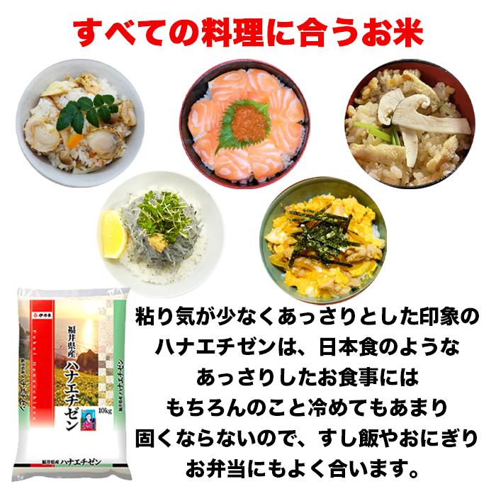 ハナエチゼン 米 20kg (5kg*4) 福井県産 令和4年産 米 お米 白米 おこめ 華越前 精米 単一原料米 ブランド米 20キロ 送料無料 国内産 国産