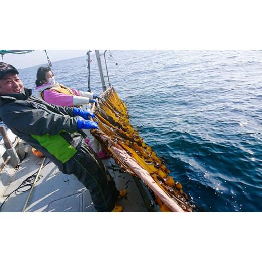 ふるさと納税 北海道 利尻町 利尻昆布堪能ギフトセット(4種)