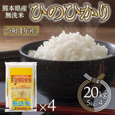 ふるさと納税 山鹿市 熊本県産　無洗米　ひのひかり 20kg(5kg×4袋)(山鹿市)