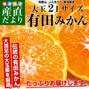 和歌山県より産地直送 JAありだ 有田みかん 大玉 2Lサイズ 4.5キロ(30玉前後) 送料無料 蜜柑 ミカン お歳暮 御歳暮