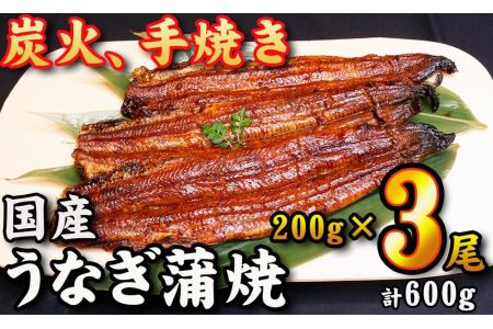 　国産うなぎ蒲焼　約180g×3尾・たれ・山椒　和食竜むら