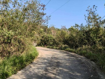 宣漳台東卑南鄉杉原產業道路投資節稅農地｜台東縣卑南鄉加路蘭段