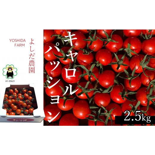 ふるさと納税 熊本県 玉名市 ミニトマト 『キャロルパッション』 約2.5kg よしだ農園