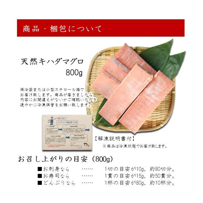 マグロ まぐろ 天然キハダマグロ サク 800g