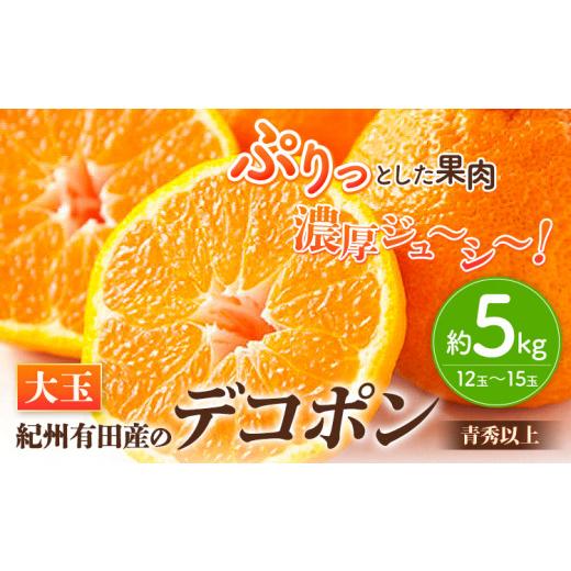 ふるさと納税 和歌山県 日高川町 紀州有田産の大玉デコポン約5kg(12玉〜15玉入り・青秀以上) 厳選館 《1月上旬-4月上旬頃より順次出荷》和歌山県 …