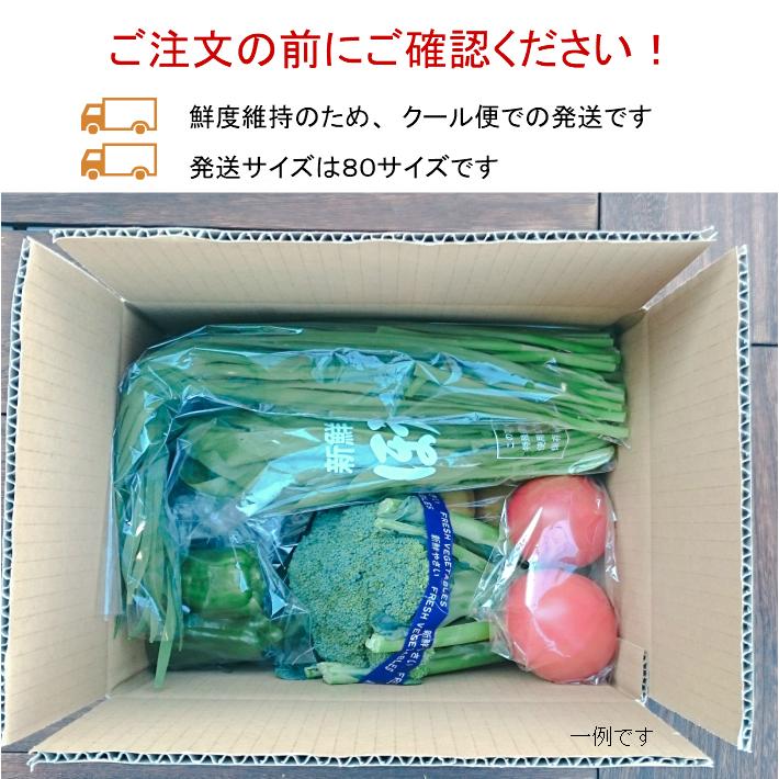 新鮮野菜おまかせ１０種セット　福島県産