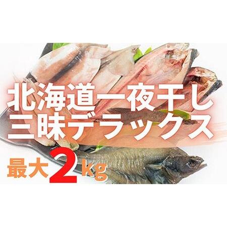 ふるさと納税 北海道一夜干し三昧デラックス 最大2kg 計10尾 訳あり 一夜干し 事業者支援 中国禁輸措置 北海道鹿部町