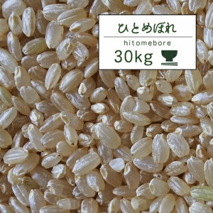 新米 米 30kg  岩手県産 5年産 ひとめぼれ 玄米30kg 岩手ひとめ