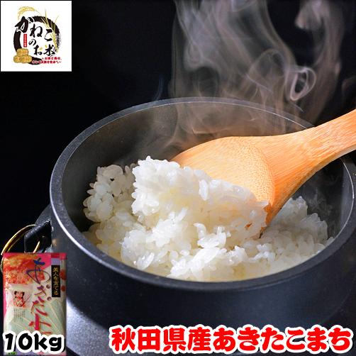 新米 10kg(5kgx2) 秋田県産 あきたこまち 米 令和5年産 内のし対応 贈り物