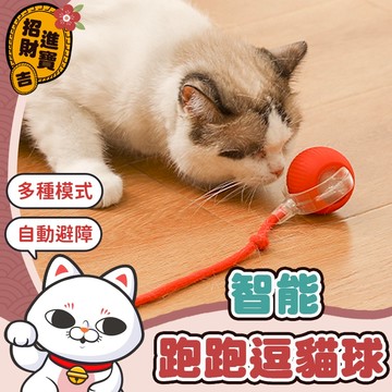 [多種模式] 智能逗貓球 貓咪玩具球 自動逗貓球 逗貓球 貓咪玩具 逗貓 逗貓玩具 自動逗貓 貓的玩具 貓咪玩具電動