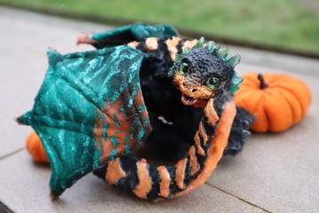 南瓜龍幻想藝術娃娃可擺姿勢